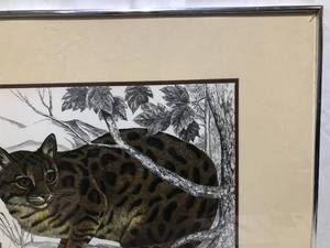 lot 29 image: Tabby Cat with Black and White Background by Samara E.