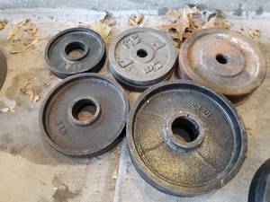 Lot of (10) Barbell Weights  - 10-lb. (x4), 5-lb. (x4), 2-lb. (x2)