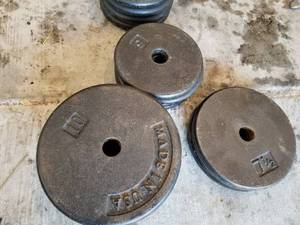 Lot of (10) Dumbell Weights  - 10-lb. (x4), 5-lb. (x4), 7-12-lb. (x2)