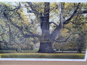 lot 172 image: Framed Tree of Life Lithograph by Harold Altman