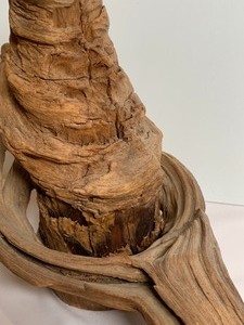 lot 65 image: Unique Decorative Piece of Driftwood