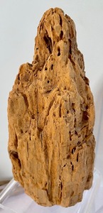 lot 103 image: Decorative Driftwood and Burled Wood Items