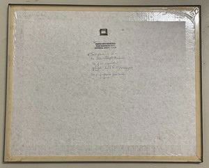 lot 311 image: Amazing Framed Photograph of First Commuter Airplane with a Great Story