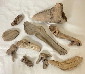 lot 305 image: Drift Wood Grouping