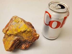 lot 471 image: (2) Pieces of Petrified Wood