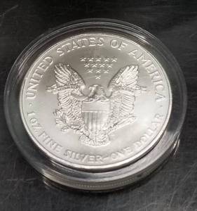 1999 AMERICAN SILVER EAGLE COLOR ENHANCED IN AIRTITE