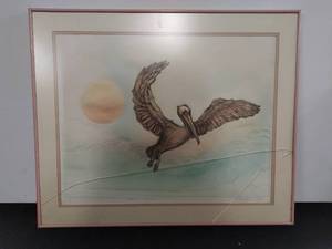 Flying Pelican Artist Proof by D. Vickers- Signed
