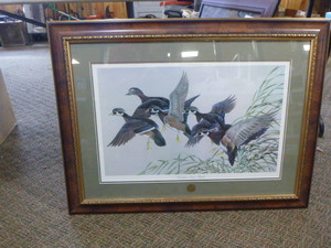 Woodies Take Flight Framed Print by Art LaMay