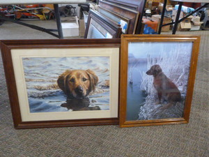 2 Golden Retriever Framed Prints