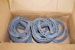 lot 159 image: 40 Diamond Classic Plain Size 00 Horse Shoes