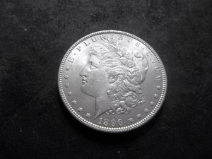 1896 Morgan Silver Dollar