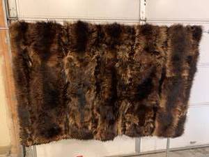 lot 31 image: Amazing Antique Raccoon Lap Blanket