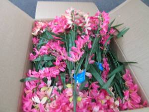 lot 153 image: Box of Tweedia Bush Artificial Flow...