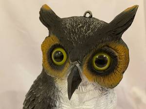 lot 401 image: Yard Owl With Glass Eyes
