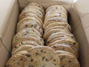 lot 203 image: Case of 3 oz Chocolate Chip Cookies...