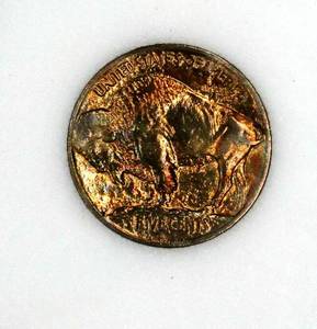 1913 Buffalo Nickel Type 1