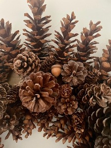 Pinecone Wreath