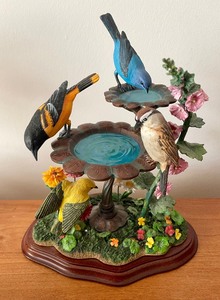 Birds Birds Birds