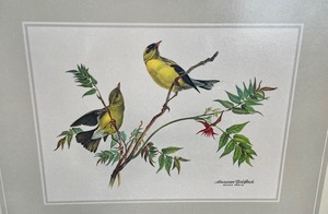 Three Vintage Bird Themed TV Trays