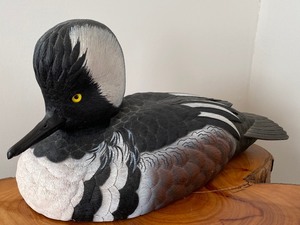 Carved Hooded Merganser Figurine