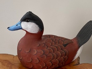Ruddy Duck Carved Figurine