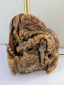 Stunning Burled Wood Table Lamp