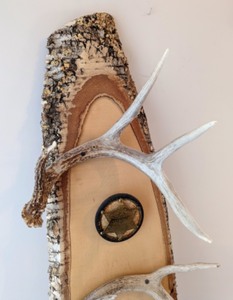 Antler Display Rack