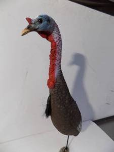 Turkey Decoy 24 Height