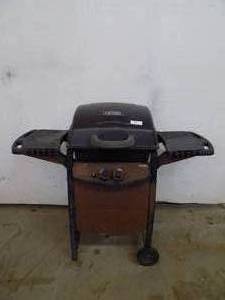 Thermos Gas Grill