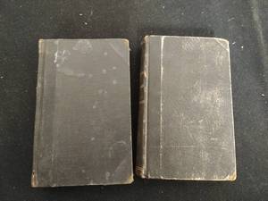 lot 187 image: Two 1881 Leftamente Books
