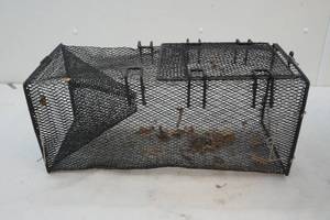 lot 119 image: trap