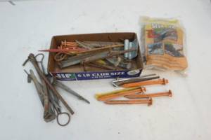 lot 244 image: tent stakes
