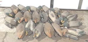 lot 319 image: duck decoys