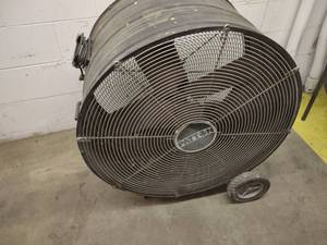 30 Fan...
