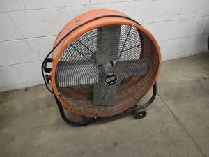 24 Fan...