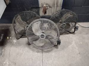 (3) 18 Fans...