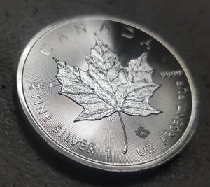 lot 15 image: 2019 CANADA $5 MAPLE LEAF 1 TROY OZ .9999 FINE SILVER
