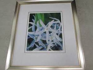 lot 49 image: 18 inch x 20 inch into the blue fra...