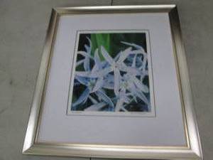 lot 50 image: 18 inch x 20 inch into the blue fra...