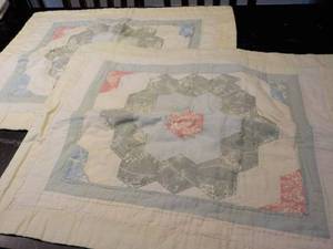 Pair of Vintage Looking Shams...