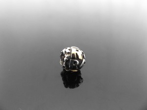 lot 165 image: ALE .925 Sterling Silver 14K PANDORA Charm #790298R