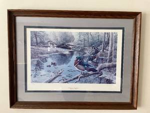 Quiet Time Wood Ducks By Ron Van Gilder Artwork Print