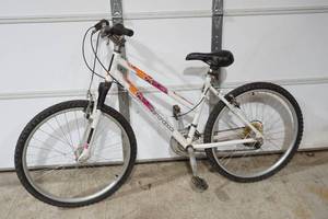 lot 197 image: bike