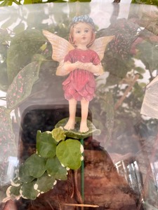 lot 53 image: Fabulous Fairy Garden