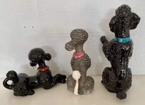 lot 69 image: Pretty Poodles