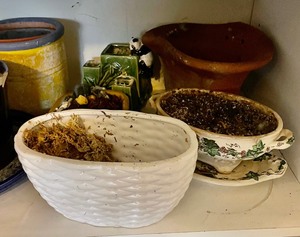 lot 195 image: Full Lot of Small Pots and Planters