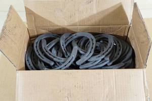 40 Diamond Classic Plain Size 0 Horse Shoes