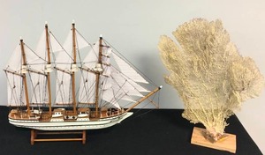 lot 24 image: Pirate Ship & Real Coral Reef