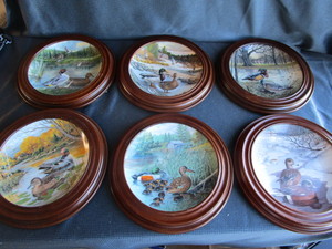 Jerners Ducks Plates