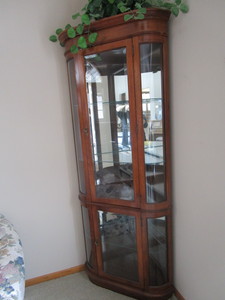 Curio Cabinet